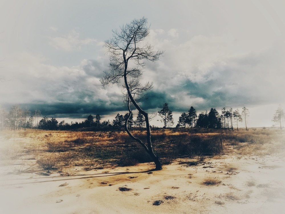 Photograph by Павел