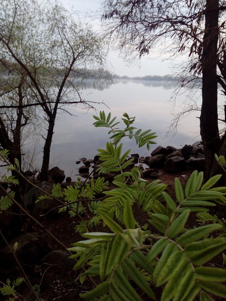 Photograph by Ирина Марченко