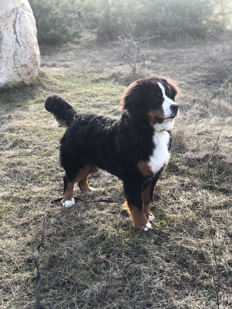 Photograph by Анастасия Лясович