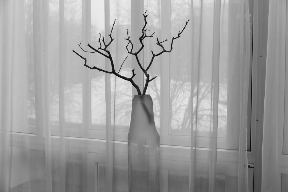 Первый день года