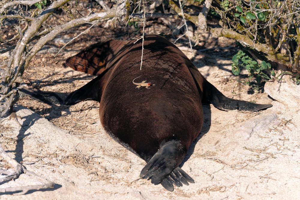 Photograph by somicsm