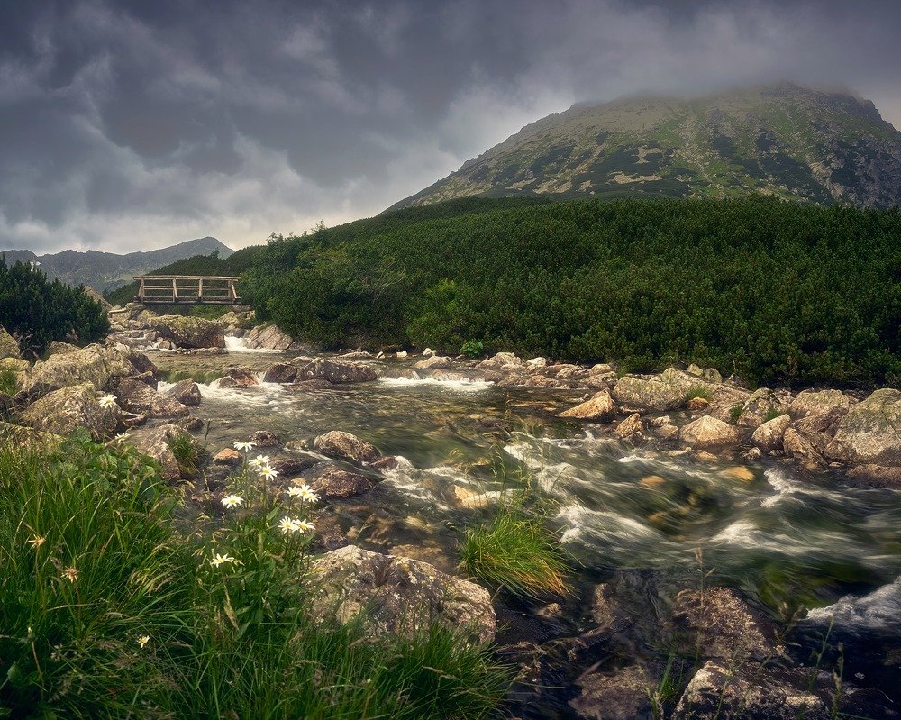 Photograph by Tomek Kosieradzki