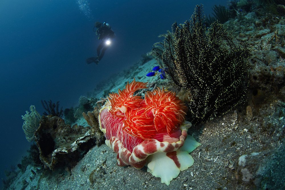 Танцуют все!)