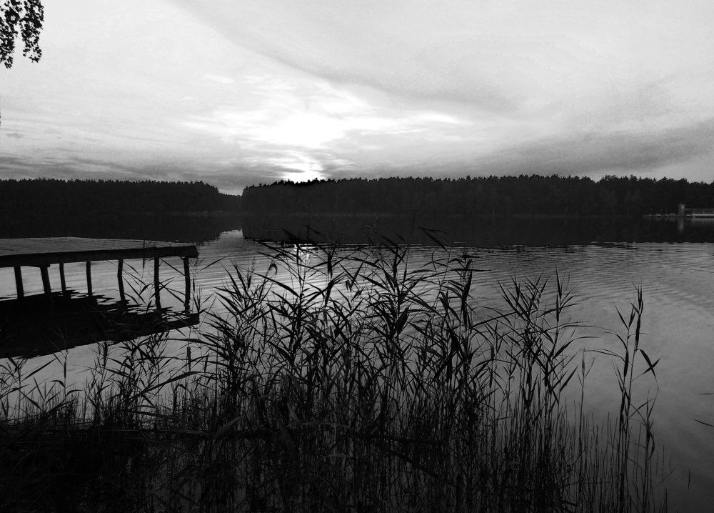 Photograph by Дмитрий Дмитриев