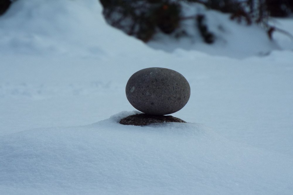 Фотография автора Виктор Конев