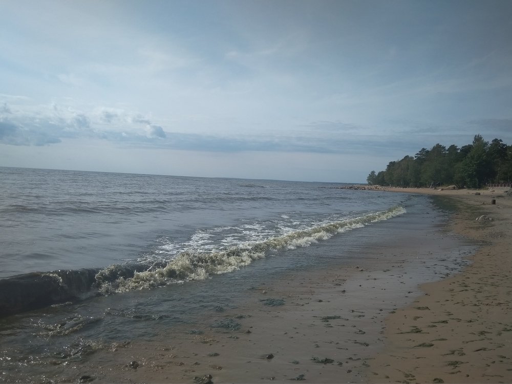 Photograph by Дарья Мещерякова
