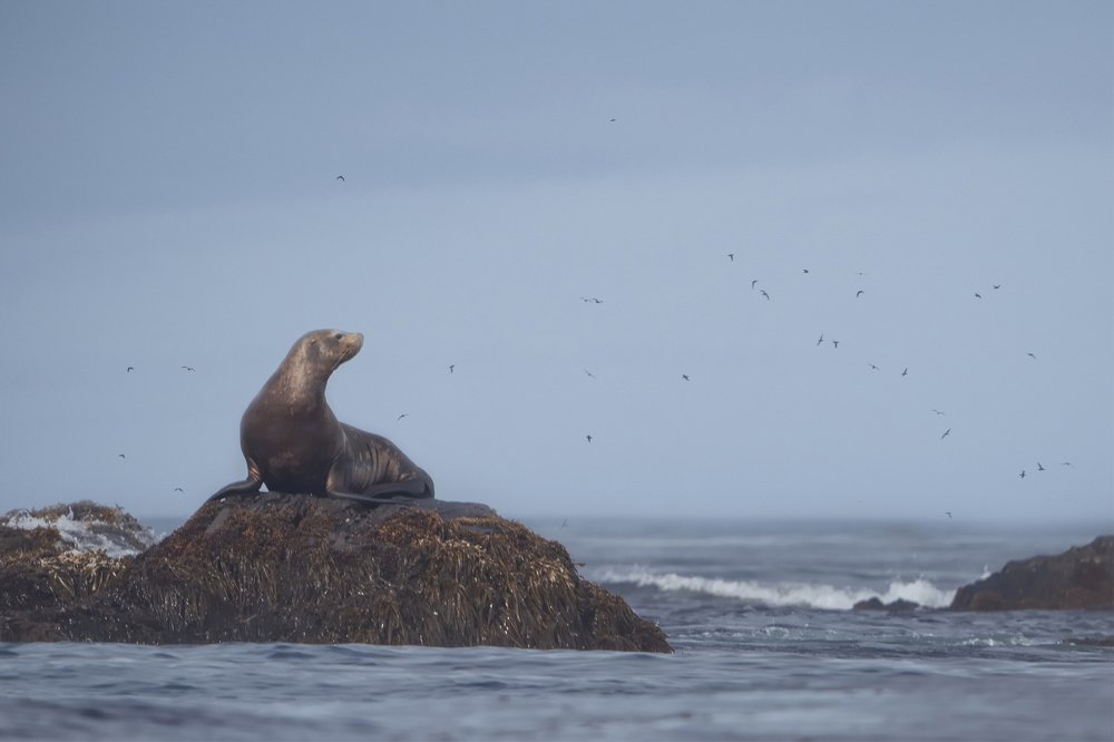 Photograph by Алексей Романов
