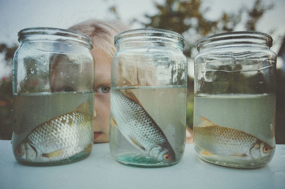 Photograph by Татьяна Тронина