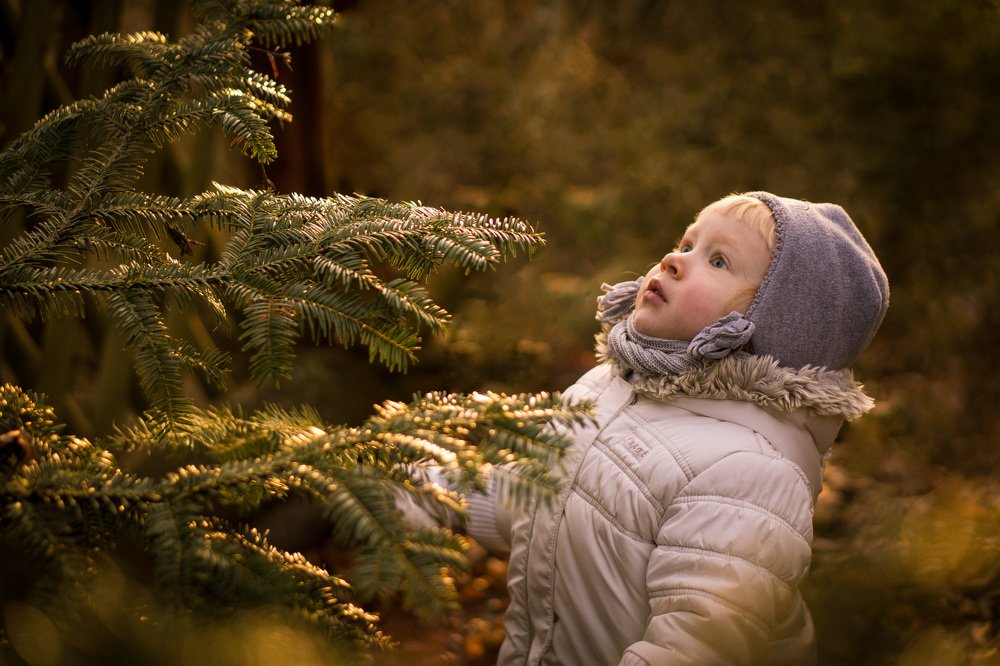 Photograph by Tanja`s Photoarts