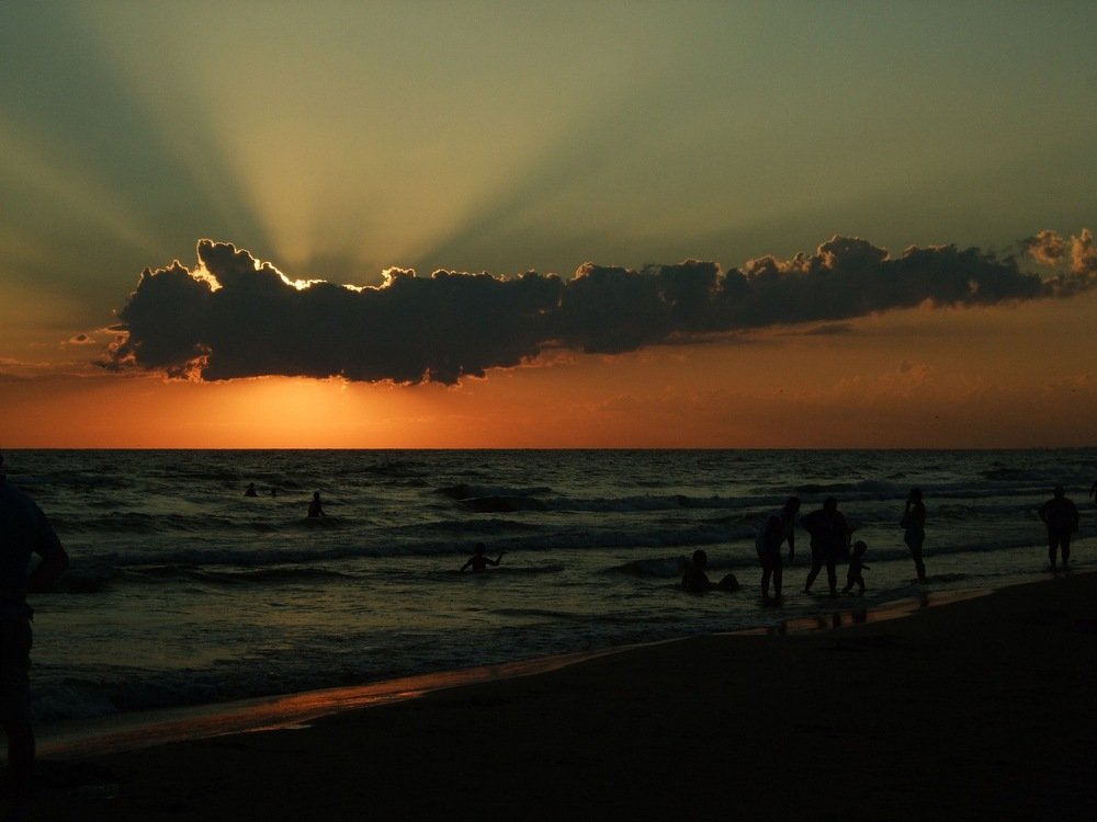 Photograph by Николай Котельников