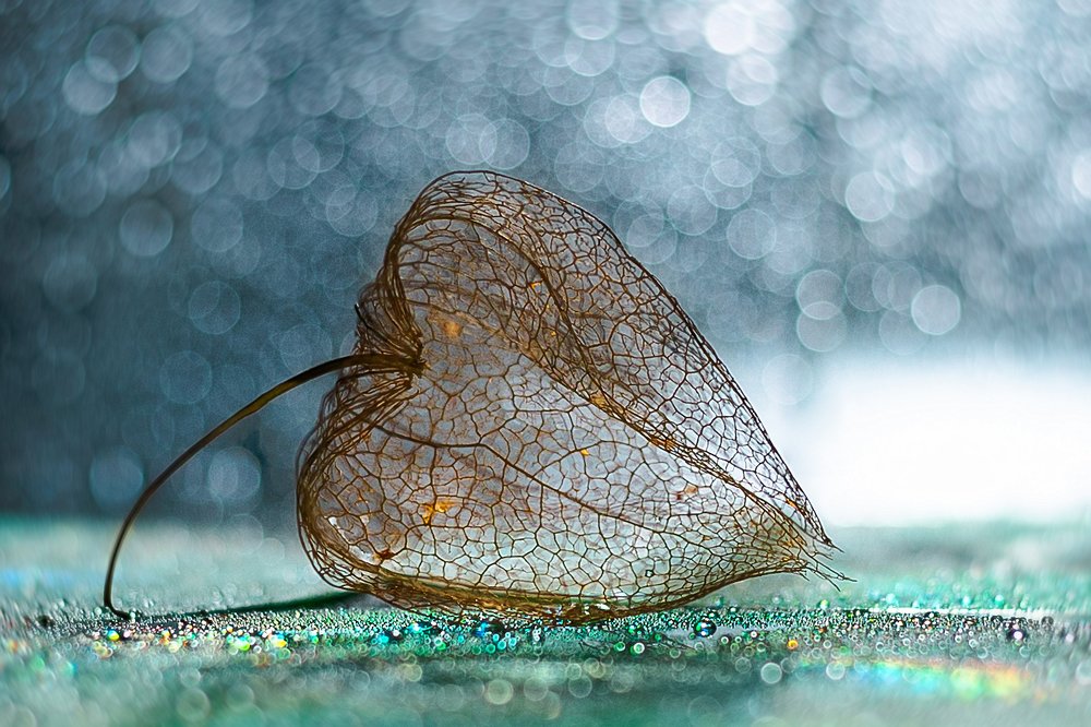 Photograph by Алена Зотова