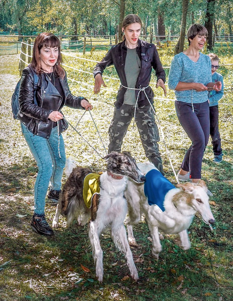 Борзые на старте...