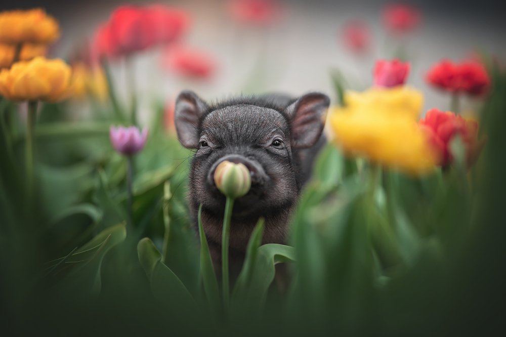 Photograph by Людмила Богуш