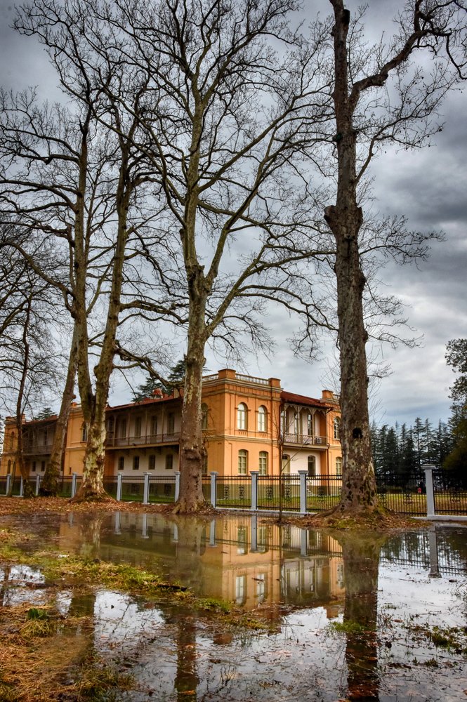 Photograph by Леван Габечава