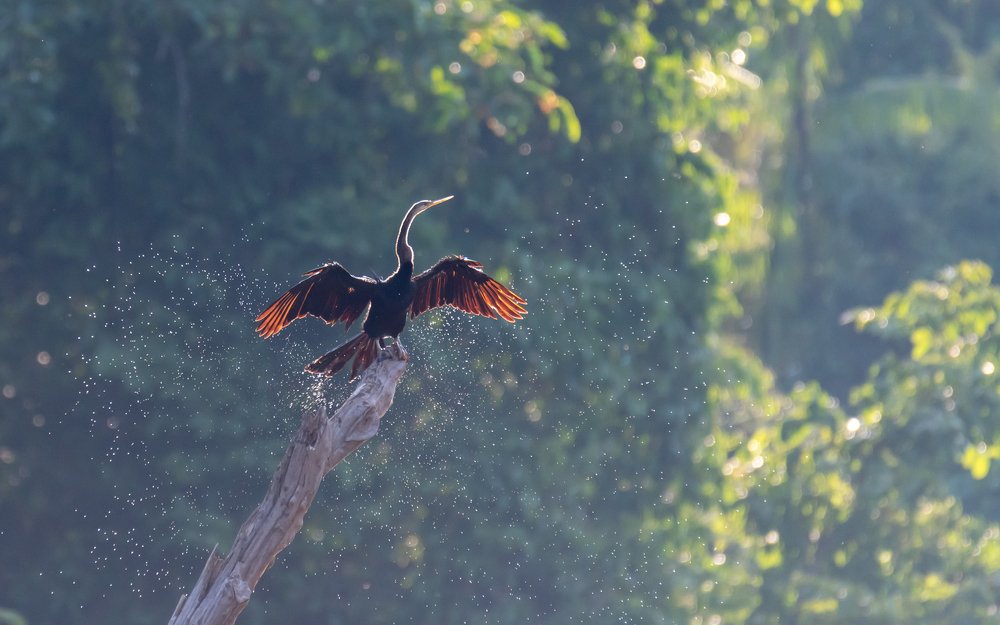 Photograph by Сергей Сыресин