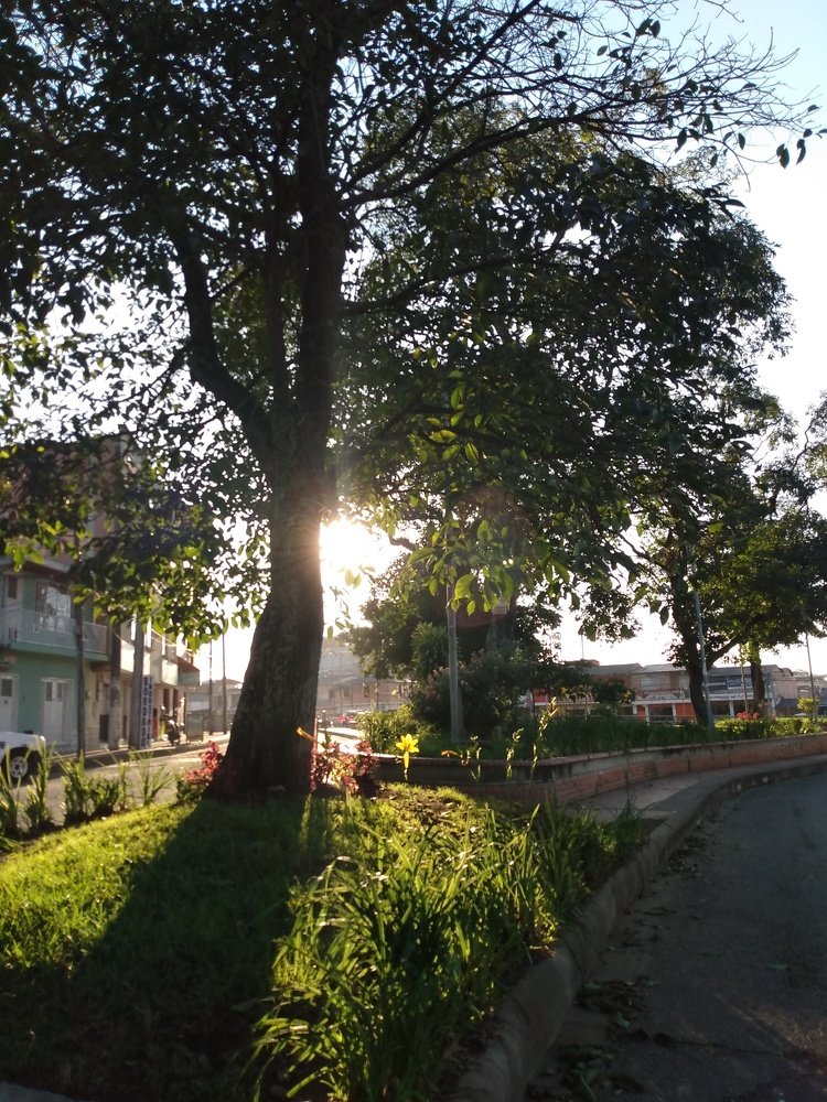 Photo #4301454