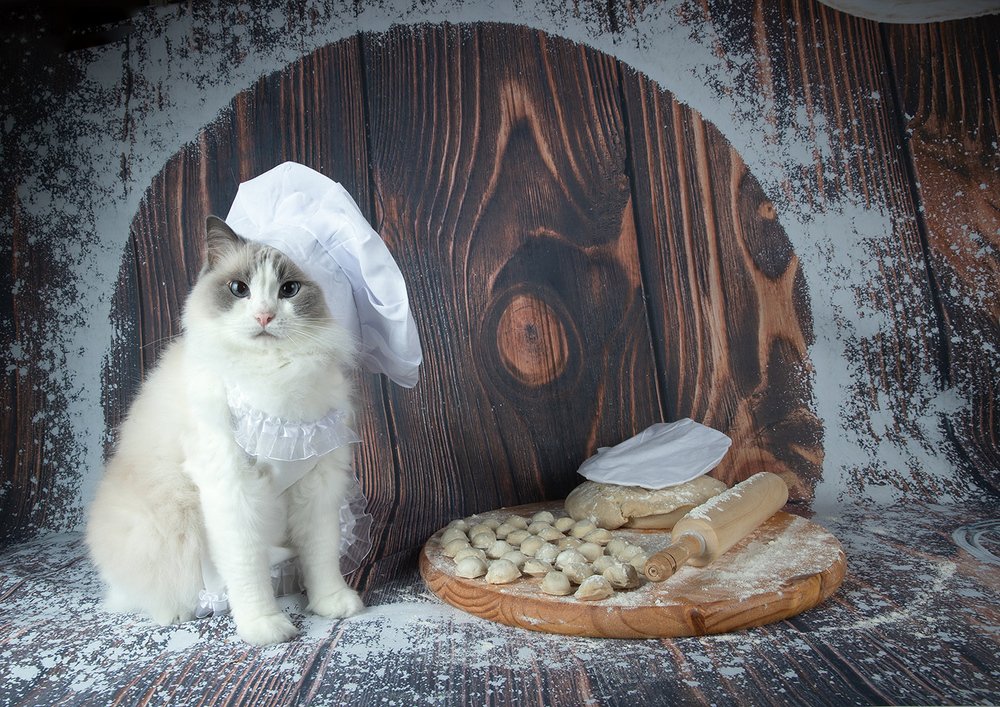 Матильда Повариха