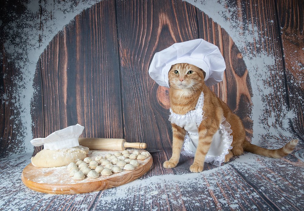 Рыжик Повар