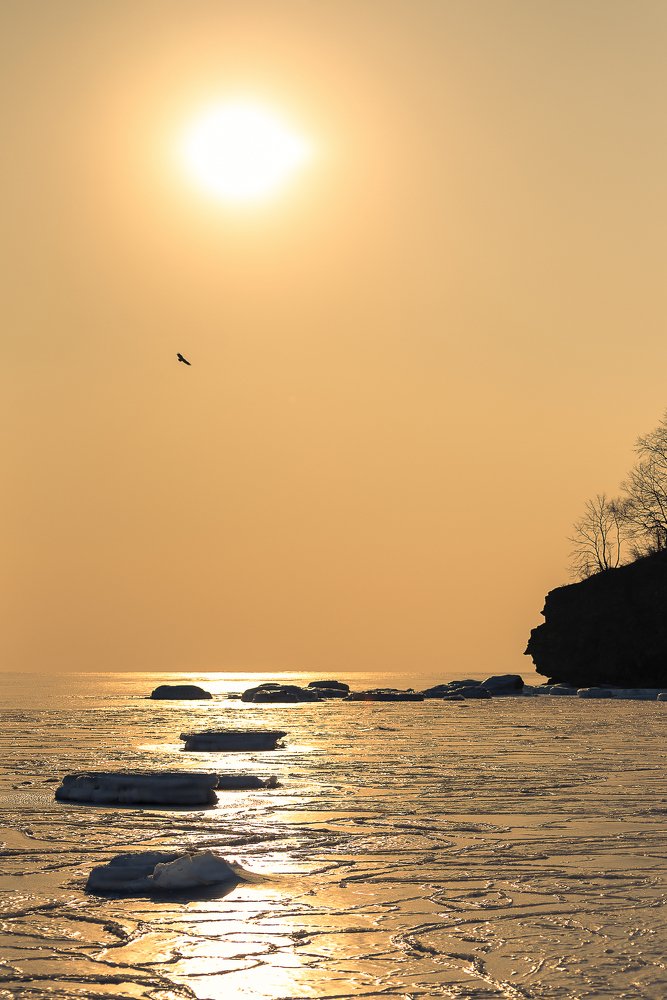 Парящий на рассвете