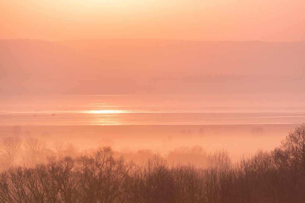 Туманное утро