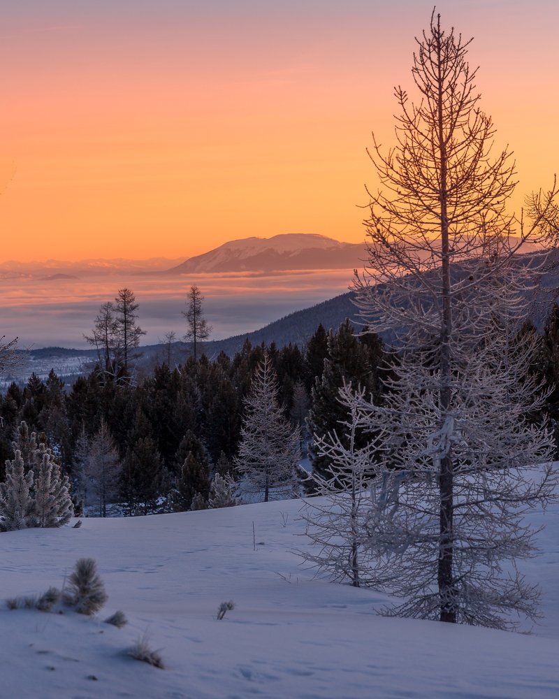 Photograph by Евгений Кожевников