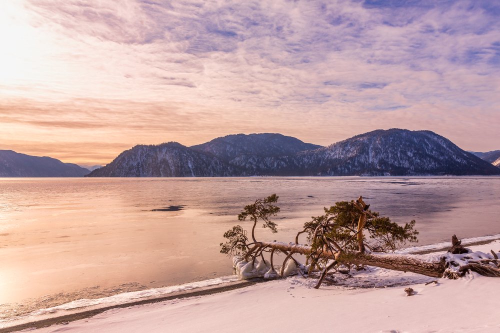 Photograph by Евгений Кожевников