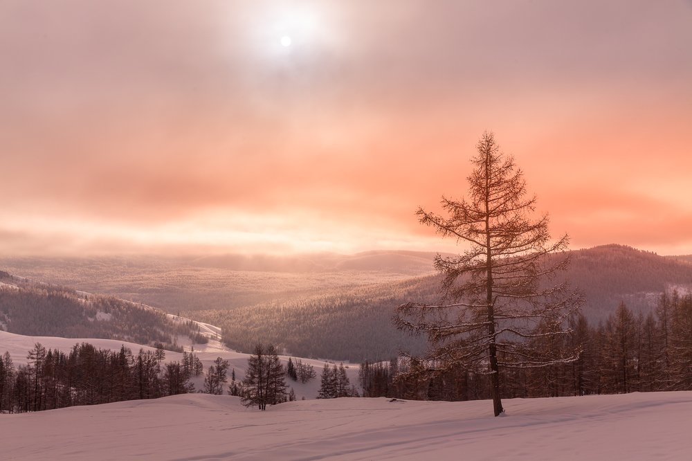 Photograph by Евгений Кожевников