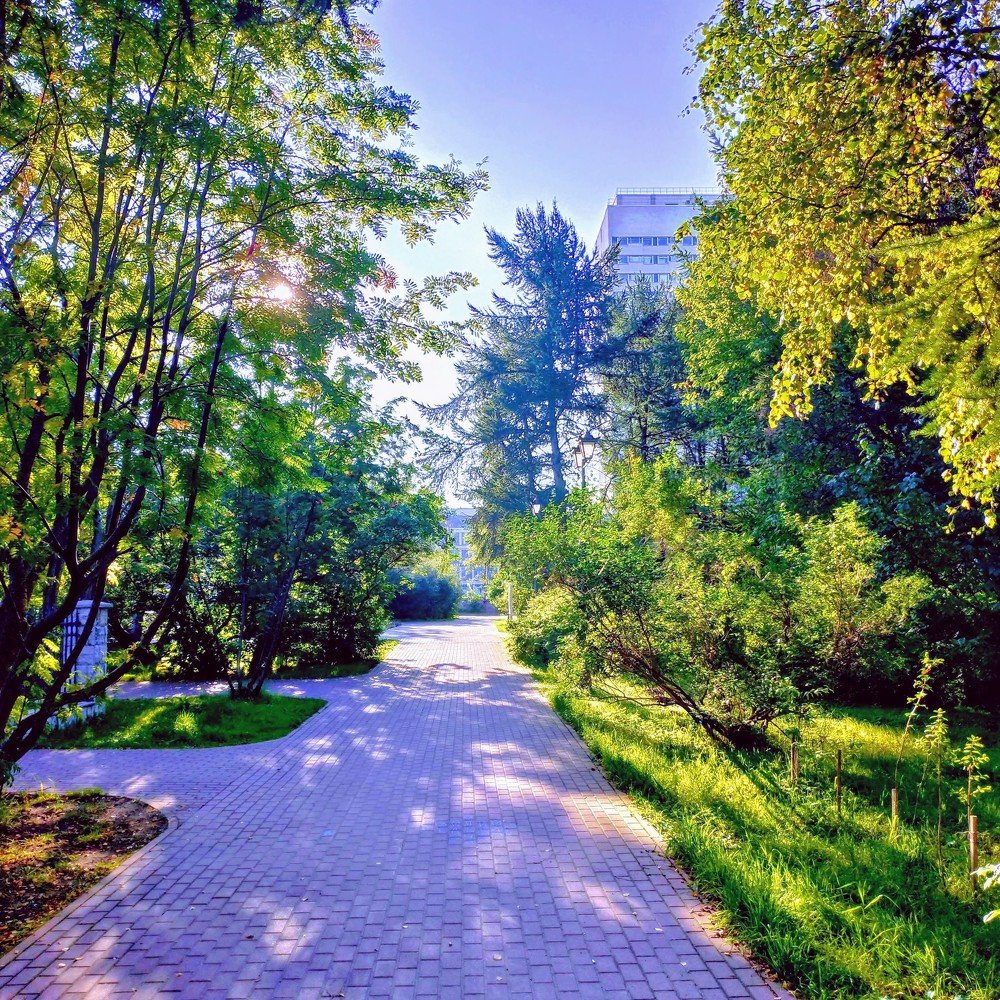 Утро в сквере