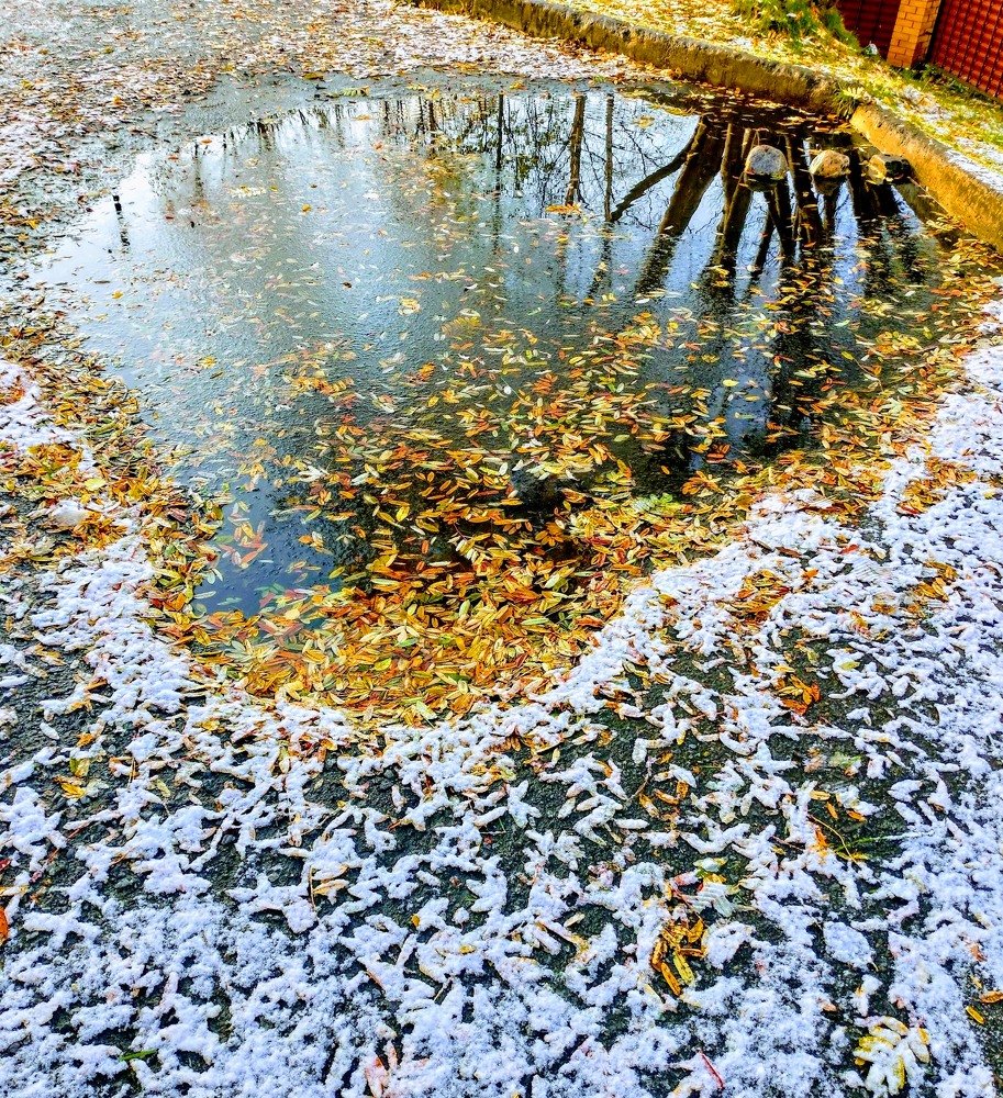 Краски природы