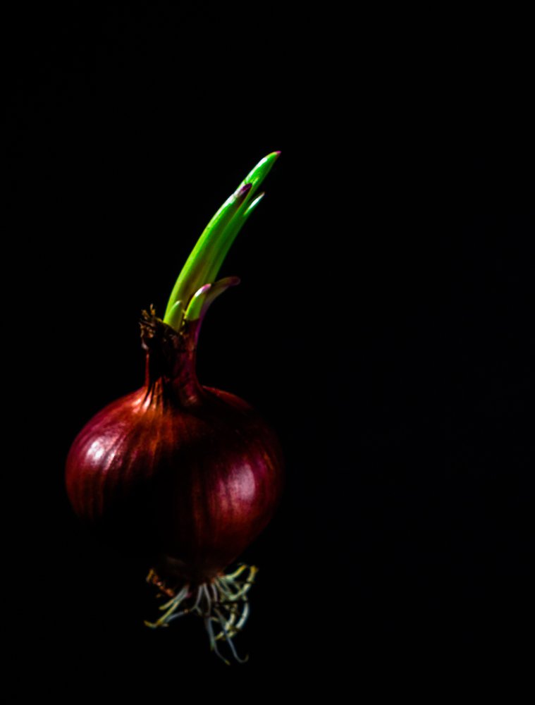 Photograph by Peterson Bernabe Cruspe