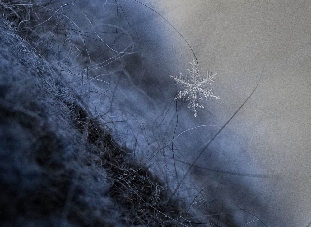 Photograph by Xeniya Kolosova