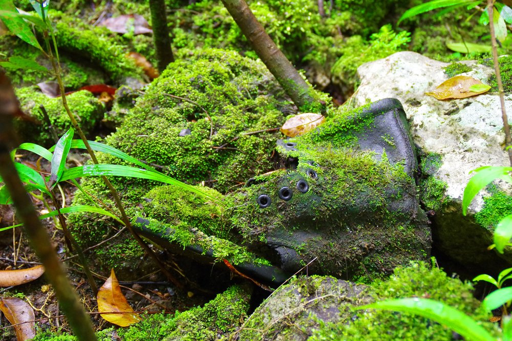 Photograph by Deryl Varela Cienfuegos