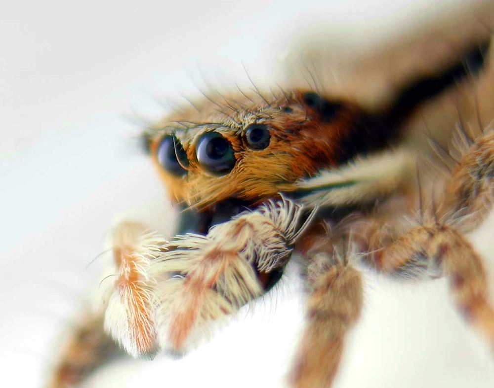 Photograph by Deryl Varela Cienfuegos