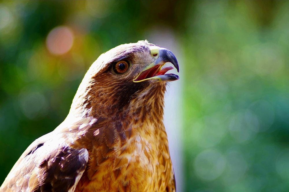 Photograph by Deryl Varela Cienfuegos