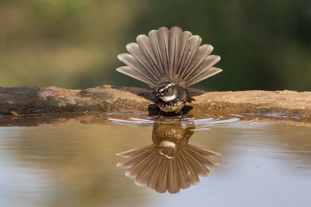 It is an absolute human certainty that no one can know his own beauty or perceive a sense of his own worth until it has been reflected back to him in the mirror of another loving, caring human being. John Joseph Powell