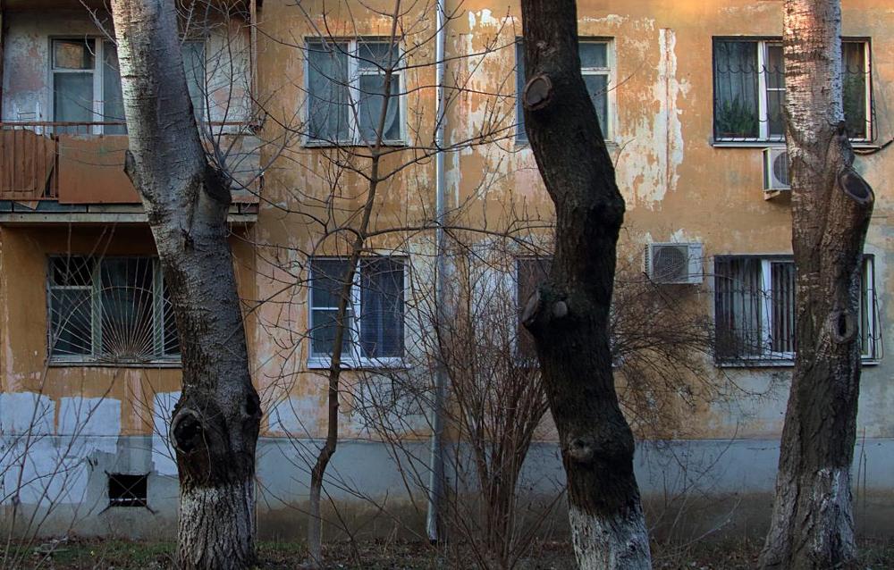 три тополя у хрущевки