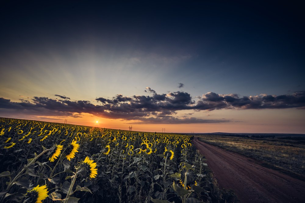 Photograph by Владимир Кузнецов