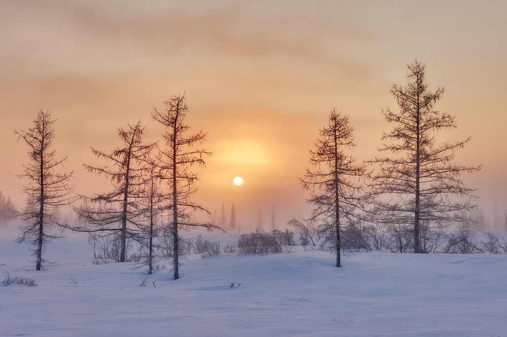 Морозный рассвет в Заполярье