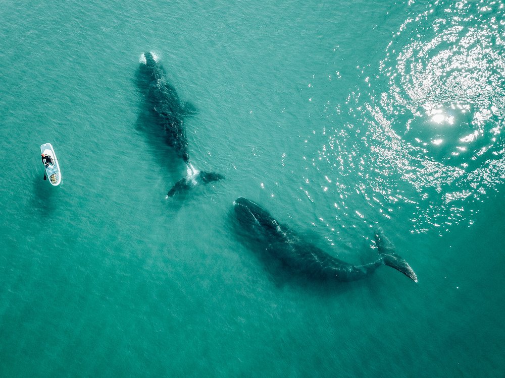 Photograph by Дмитрий Куликов