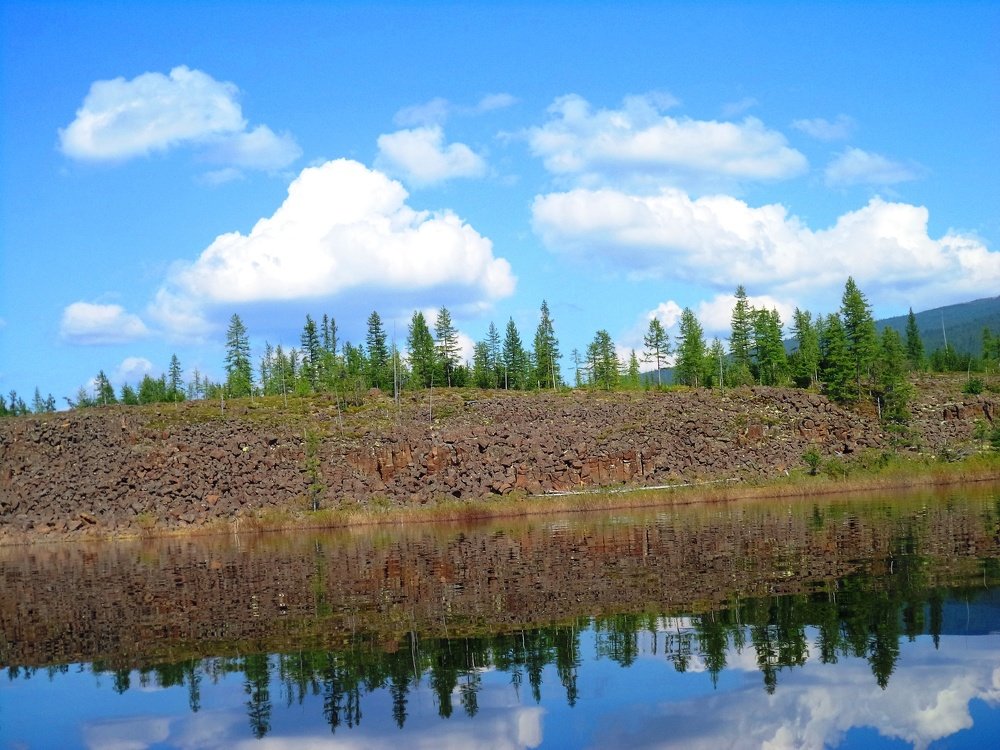 Photo #4301945