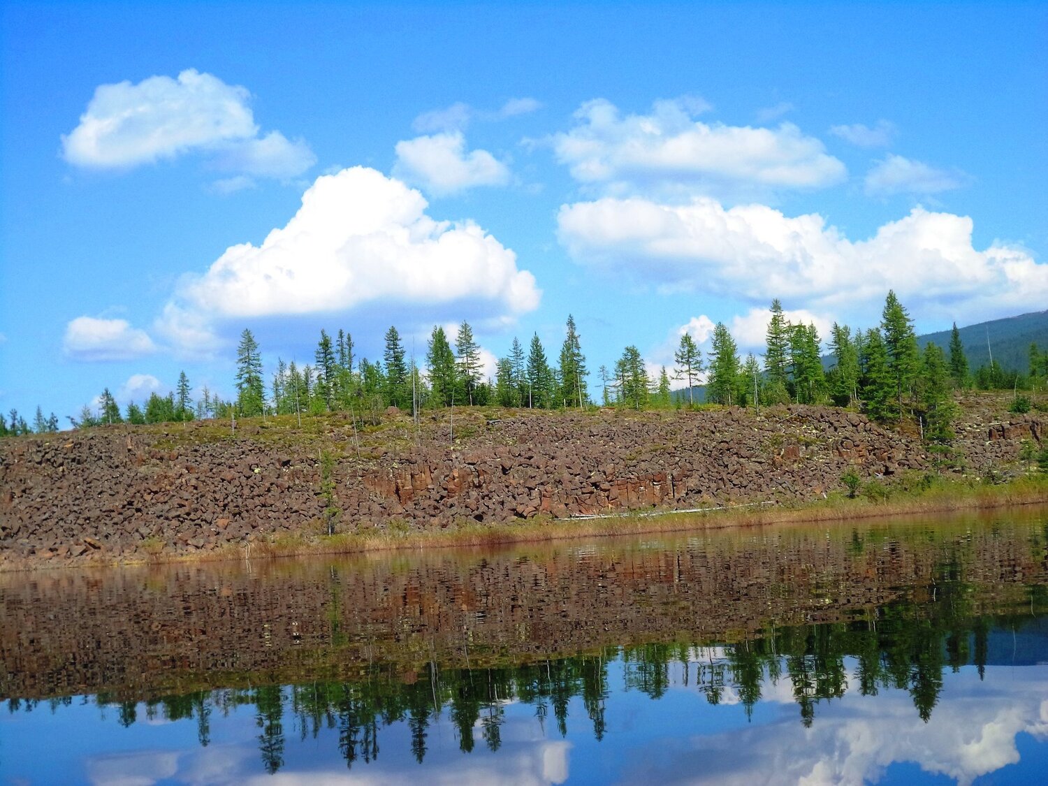Photo #4301945
