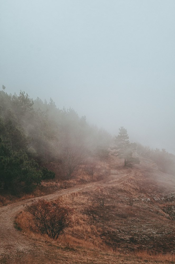 Photograph by Александр Шмелев