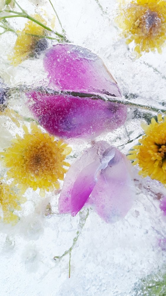 Photograph by Natali Burmeyster