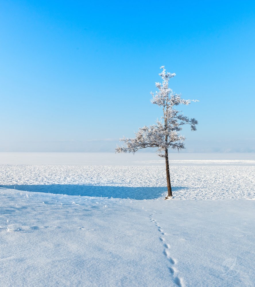 Photograph by Natali Burmeyster