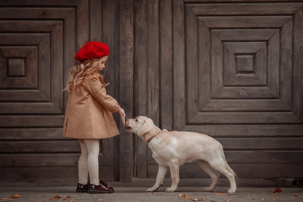 Photograph by Ольга Сорокина