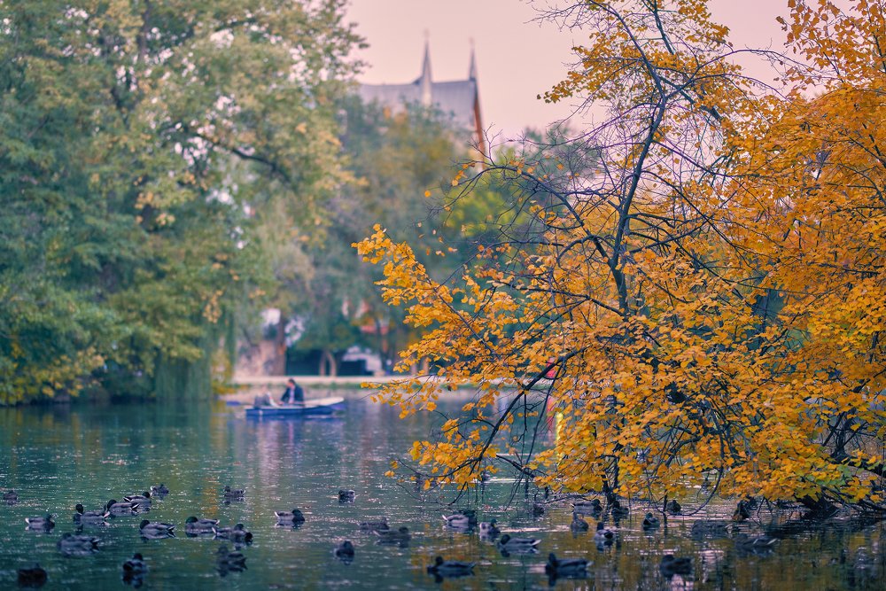 Photograph by Алексей Нагорнов