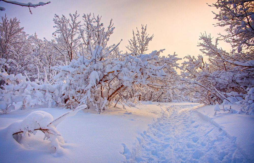 Photograph by Алексей Нагорнов