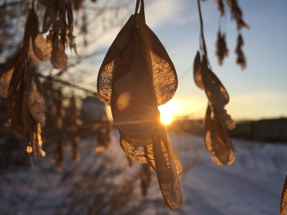 Photograph by Гульчачак Касымова