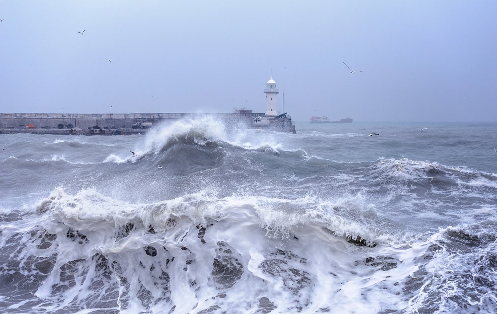 Photograph by Николай Ковтун