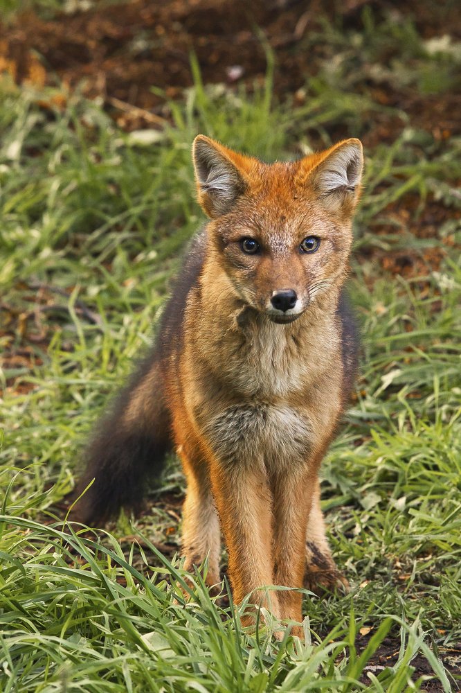 Photograph by Александр Леньков